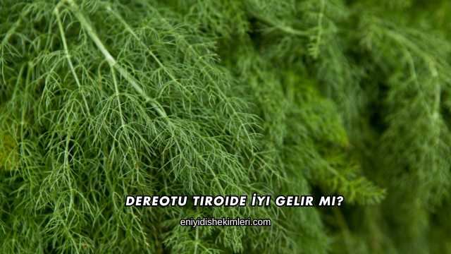 Dereotu Tiroide İyi Gelir mi?