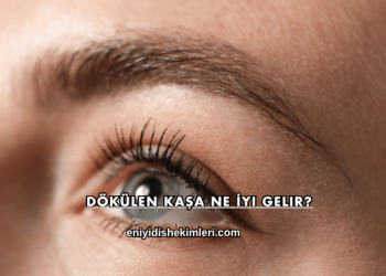 Dökülen Kaşa Ne İyi Gelir?