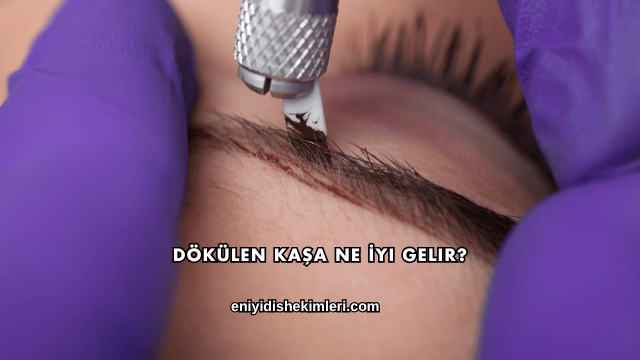 Dökülen Kaşa Ne İyi Gelir?