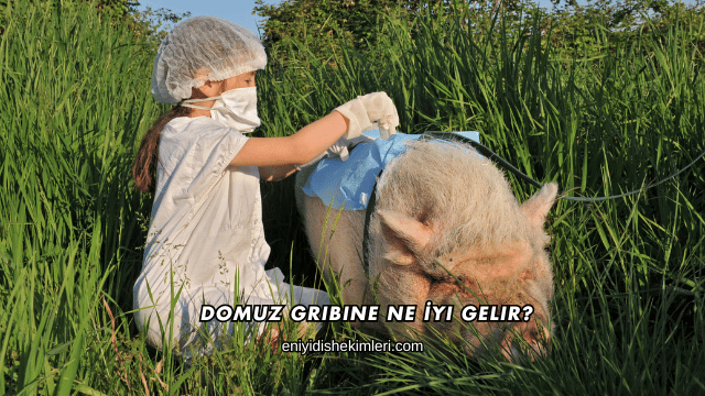 Domuz Gribine Ne İyi Gelir?