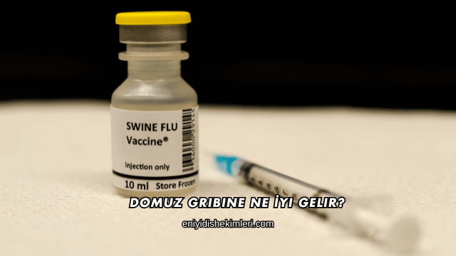 Domuz Gribine Ne İyi Gelir?