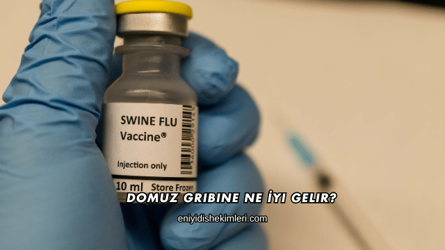 Domuz Gribine Ne İyi Gelir?