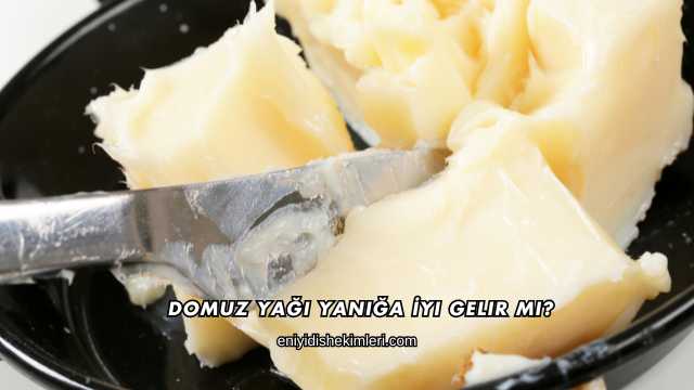 Domuz Yağı Yanığa İyi Gelir mi?