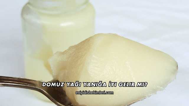 Domuz Yağı Yanığa İyi Gelir mi?