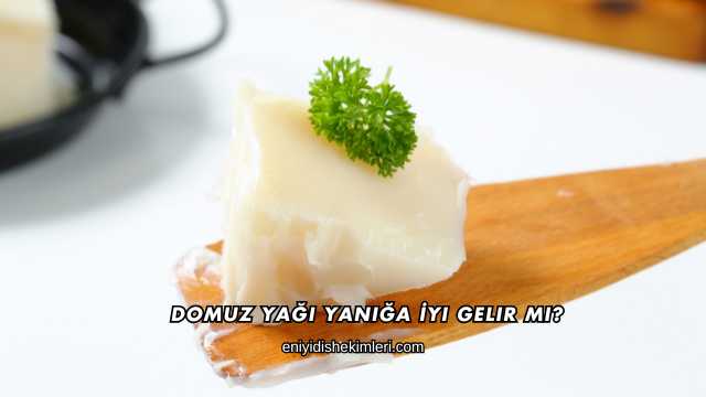 Domuz Yağı Yanığa İyi Gelir mi?