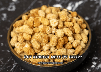 Dut Kurusu Neye İyi Gelir?