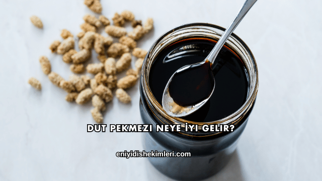 Dut Pekmezi Neye İyi Gelir?