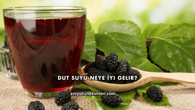 Dut Suyu Neye İyi Gelir?