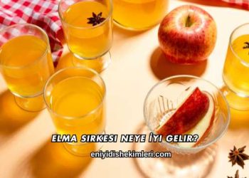 Elma Sirkesi Neye İyi Gelir?