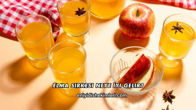 Elma Sirkesi Neye İyi Gelir?