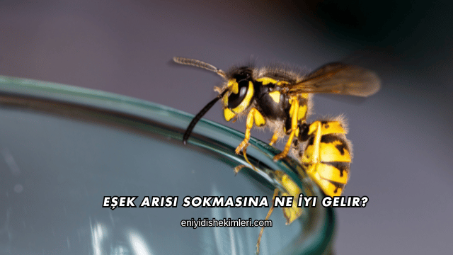 Eşek Arısı Sokmasına Ne İyi Gelir?