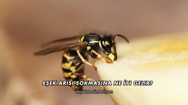 Eşek Arısı Sokmasına Ne İyi Gelir?