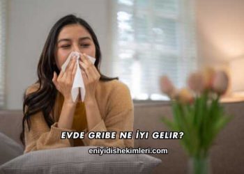 Evde Gribe Ne İyi Gelir?