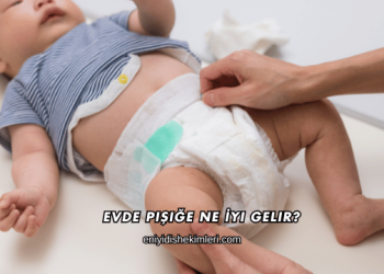 Evde Pişiğe Ne İyi Gelir?