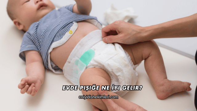 Evde Pişiğe Ne İyi Gelir?