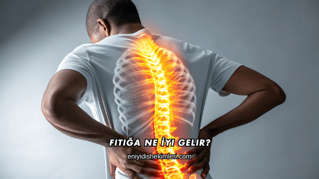 Fıtığa Ne İyi Gelir?