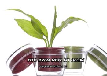 Fito Krem Neye İyi Gelir?