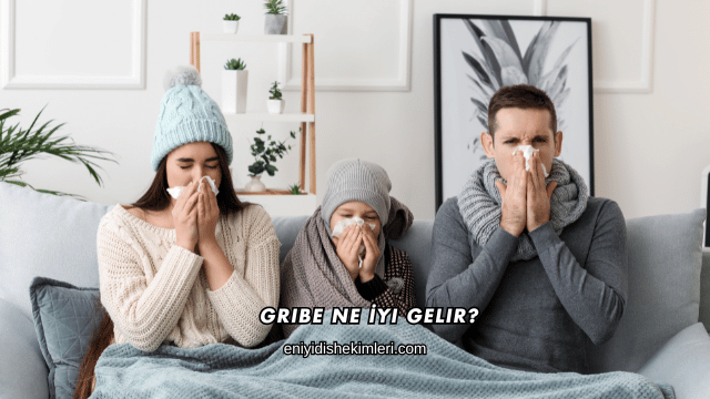 Gribe Ne İyi Gelir?