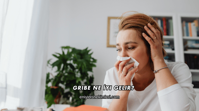 Gribe Ne İyi Gelir?