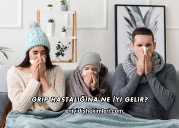Grip Hastalığına Ne İyi Gelir?