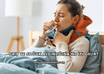 Grip ve Soğuk Algınlığına Ne İyi Gelir?