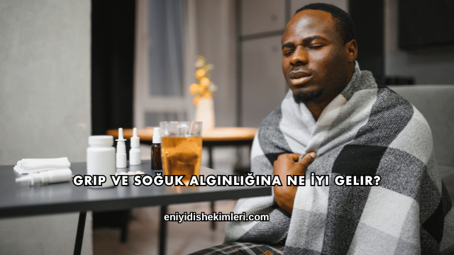 Grip ve Soğuk Algınlığına Ne İyi Gelir?