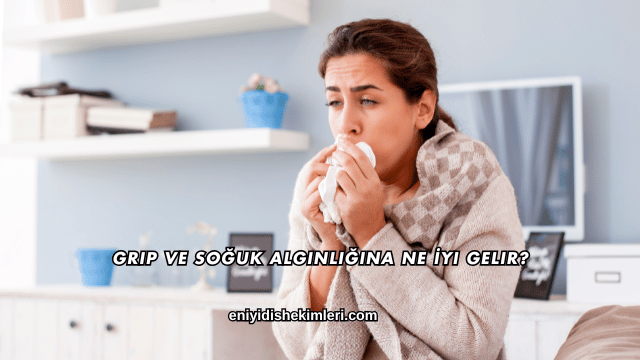 Grip ve Soğuk Algınlığına Ne İyi Gelir?