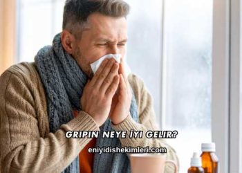 Gripin Neye İyi Gelir?
