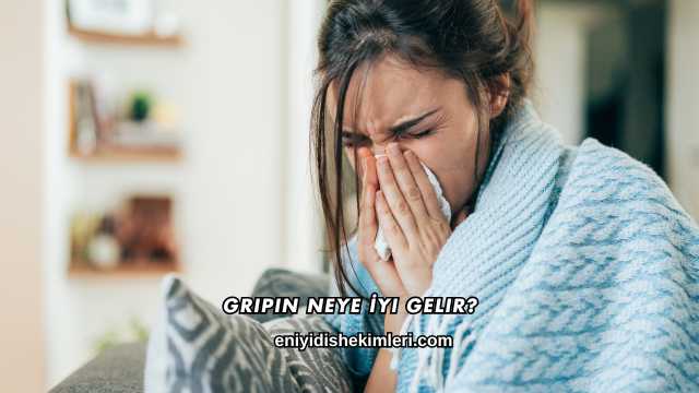 Gripin Neye İyi Gelir?