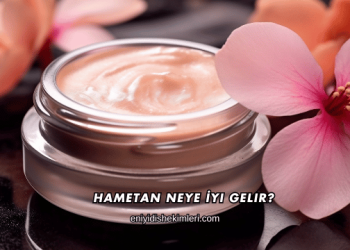 Hametan Neye İyi Gelir?