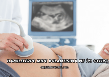 Hamilelerde Mide Bulantısına Ne İyi Gelir?