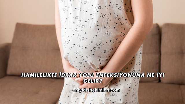Hamilelikte İdrar Yolu Enfeksiyonuna Ne İyi Gelir?