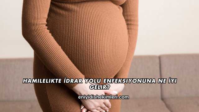 Hamilelikte İdrar Yolu Enfeksiyonuna Ne İyi Gelir?