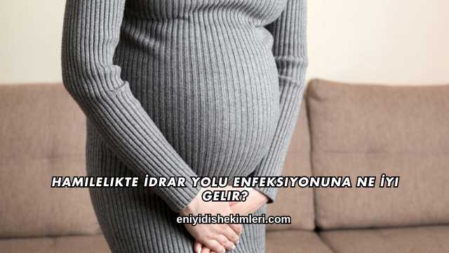 Hamilelikte İdrar Yolu Enfeksiyonuna Ne İyi Gelir?