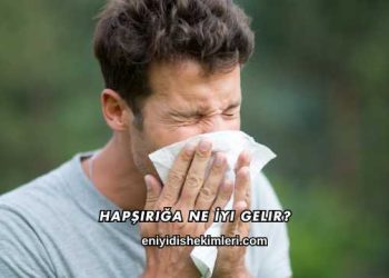 Hapşırığa Ne İyi Gelir?