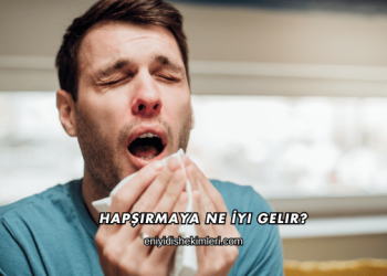 Hapşırmaya Ne İyi Gelir?