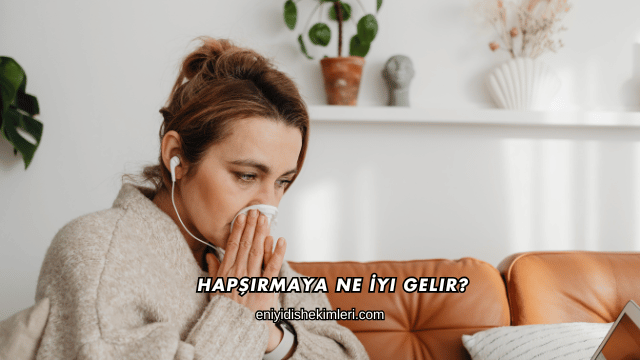 Hapşırmaya Ne İyi Gelir?