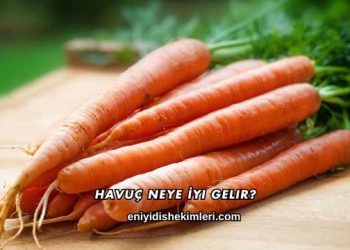 Havuç Neye İyi Gelir?