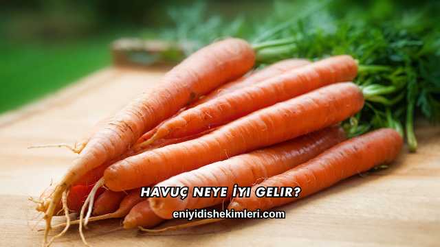 Havuç Neye İyi Gelir?