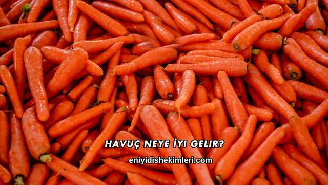 Havuç Neye İyi Gelir?