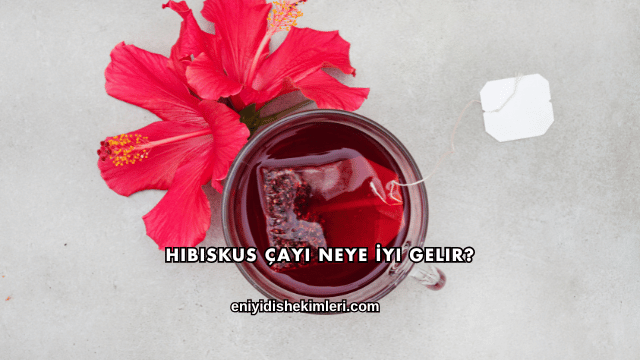 Hibiskus Çayı Neye İyi Gelir?