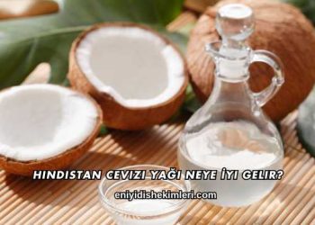 Hindistan Cevizi Yağı Neye İyi Gelir?