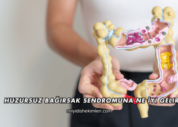 Huzursuz Bağırsak Sendromuna Ne İyi Gelir?