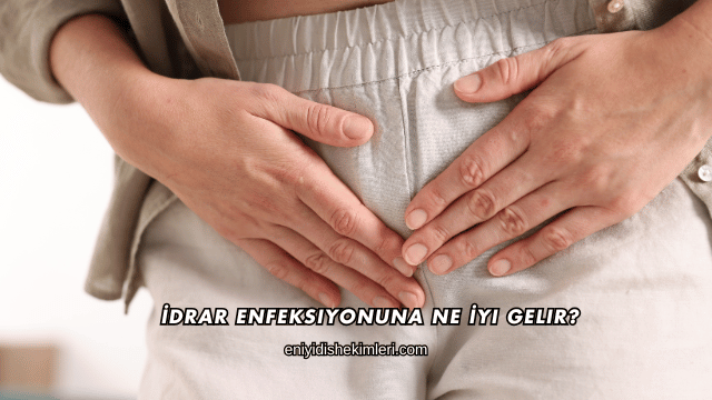 İdrar Enfeksiyonuna Ne İyi Gelir?