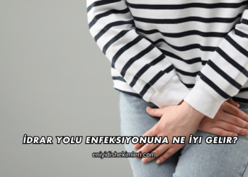 İdrar Yolu Enfeksiyonuna Ne İyi Gelir?