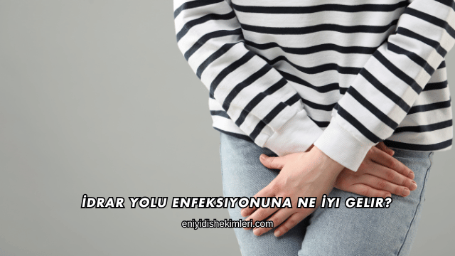 İdrar Yolu Enfeksiyonuna Ne İyi Gelir?