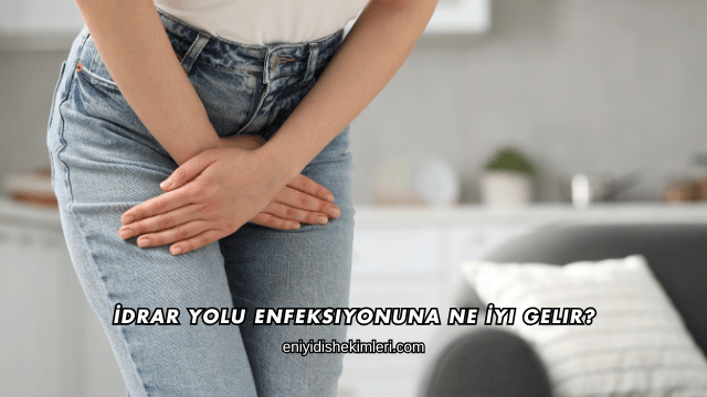 İdrar Yolu Enfeksiyonuna Ne İyi Gelir?