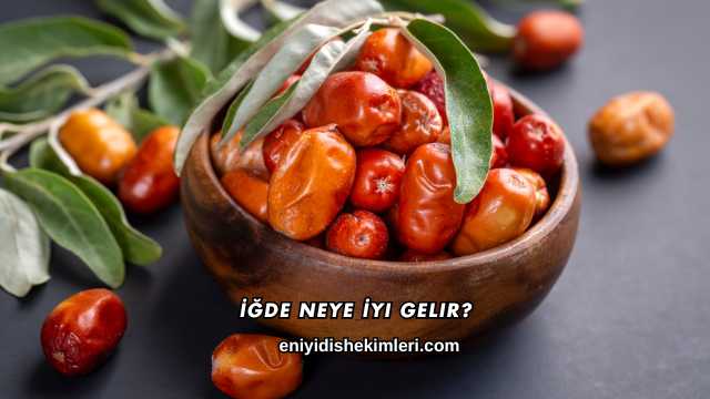 İğde Neye İyi Gelir?
