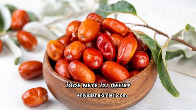 İğde Neye İyi Gelir?