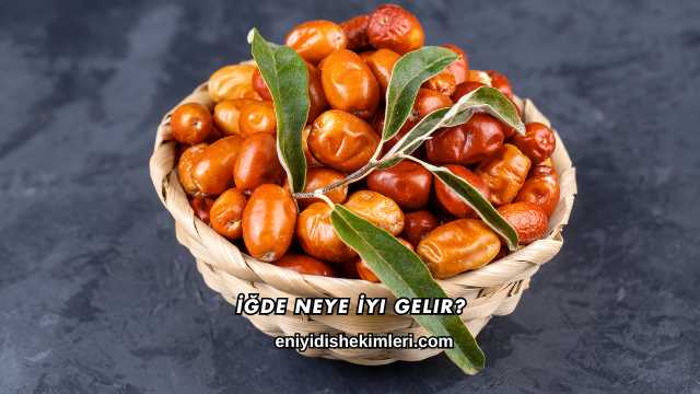 İğde Neye İyi Gelir?